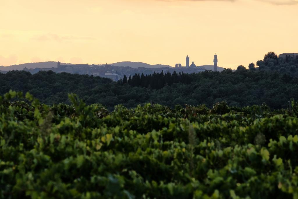 Agriturismo Montaperti Castelnuovo Berardenga Buitenkant foto